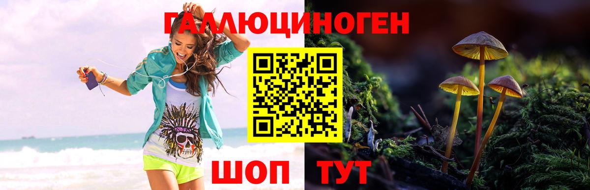 Северск  Галлюциногенные грибы Psilocybine cubensis  Вход с VPN  Галлюциногенные грибы GOLDEN TEACHER 